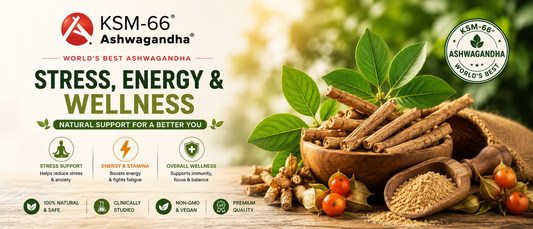 KSM-66 Ashwagandha: The Ultimate Natural Support for Stress, Energy & Wellness